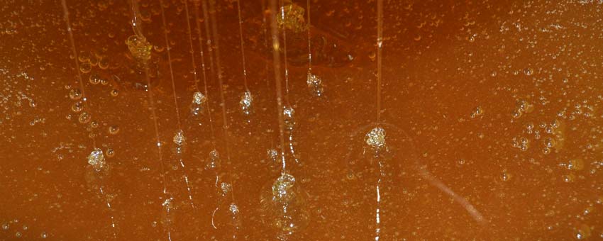 Reiner Oswald, Imker aus Nierstein, bei der Honiggewinnung. Foto: Susanne Benz